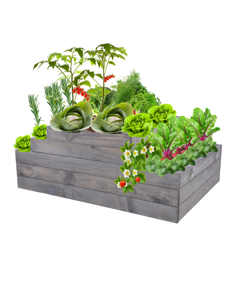 Grządki kaskadowe - Skrzynia na warzywa regulowana skrzynie na warzywniak inspekt 45x117x90 - product b2b.wamar.biz 2