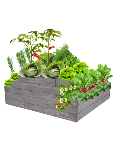 Skrzynia na warzywa regulowana skrzynie na warzywniak inspekt 45x117x100 - product 2