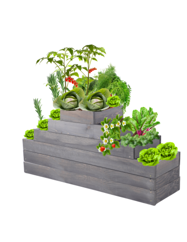 Grządka na warzywa regulowana skrzynie na warzywniak inspekt 54x117x30 - product 2