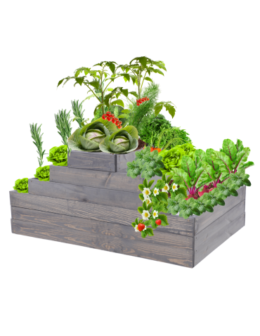 Grządka na warzywa regulowana skrzynie na warzywniak inspekt 54x117x120 - product 2