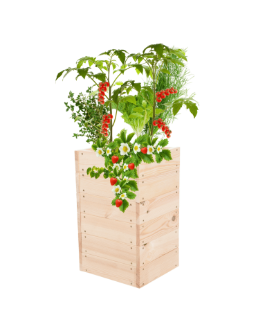 Skrzynia na warzywa skrzynie na warzywniak inspekt donica grządka 54x33x30 - produkt 2