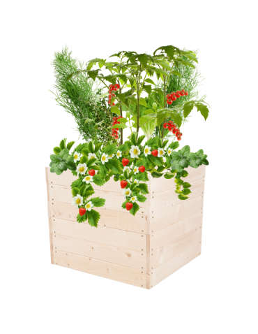 Skrzynia na warzywa skrzynie na warzywniak inspekt donica grządka 54x63x60 - produkt 2