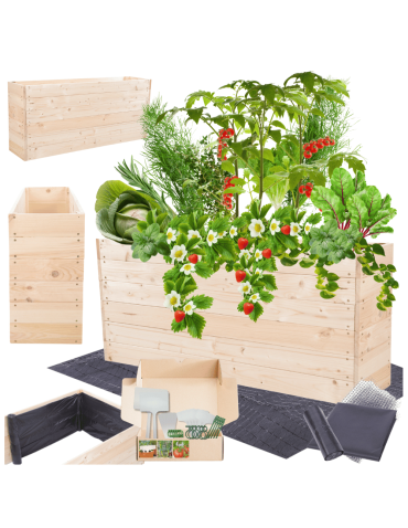 Skrzynia na warzywa skrzynie na warzywniak inspekt donica grządka 54x120x30