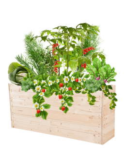 Skrzynia na warzywa skrzynie na warzywniak inspekt donica grządka 54x120x30 - product 2