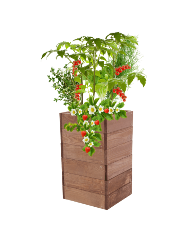Skrzynia na warzywa skrzynie na warzywniak inspekt donica grządka 54x33x30 - product 2