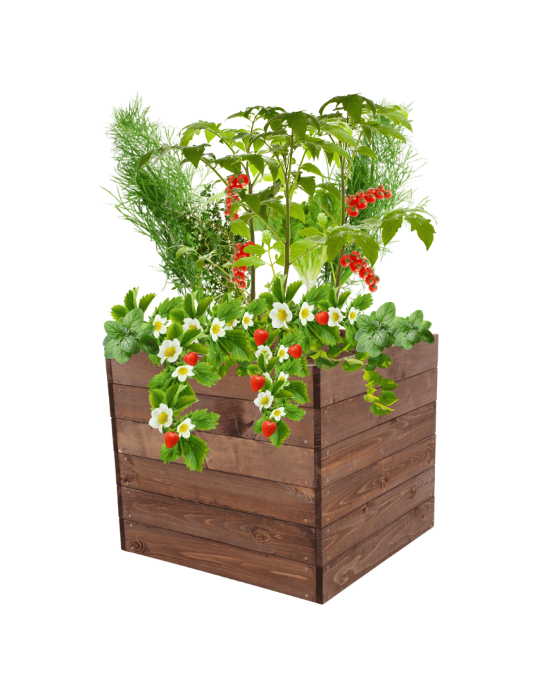 Uprawowe skrzynie ogrodowe- Warzywniaki- skrzynia do uprawy - Skrzynia na warzywa skrzynie na warzywniak inspekt donica grządka 54x93x90 - produkt b2b.wamar.biz 2