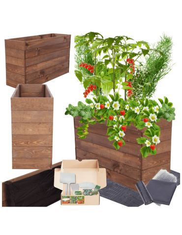 Skrzynia na warzywa skrzynie na warzywniak inspekt donica grządka 54x103x30