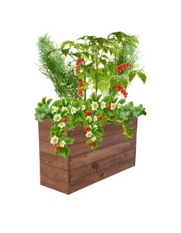 Skrzynia na warzywa skrzynie na warzywniak inspekt donica grządka 54x103x30 - product 2