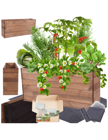 Skrzynia na warzywa skrzynie na warzywniak inspekt donica grządka 54x120x30