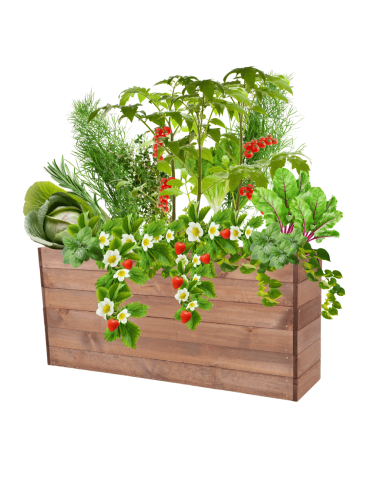 Skrzynia na warzywa skrzynie na warzywniak inspekt donica grządka 54x120x30 - produkt 2