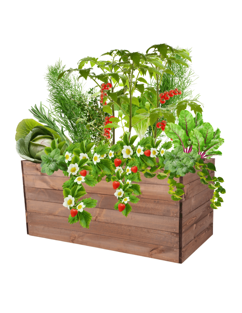 Uprawowe skrzynie ogrodowe- Warzywniaki- skrzynia do uprawy - Skrzynia na warzywa skrzynie na warzywniak inspekt donica grządka 54x120x60 - product b2b.wamar.biz 2