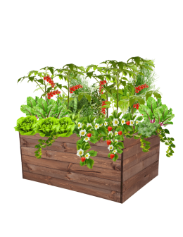 Skrzynia na warzywa skrzynie na warzywniak inspekt donica grządka 54x120x100 - product 2