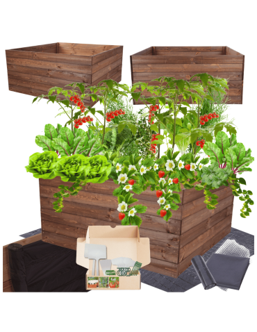 Skrzynia na warzywa skrzynie na warzywniak inspekt donica grządka 54x120x117