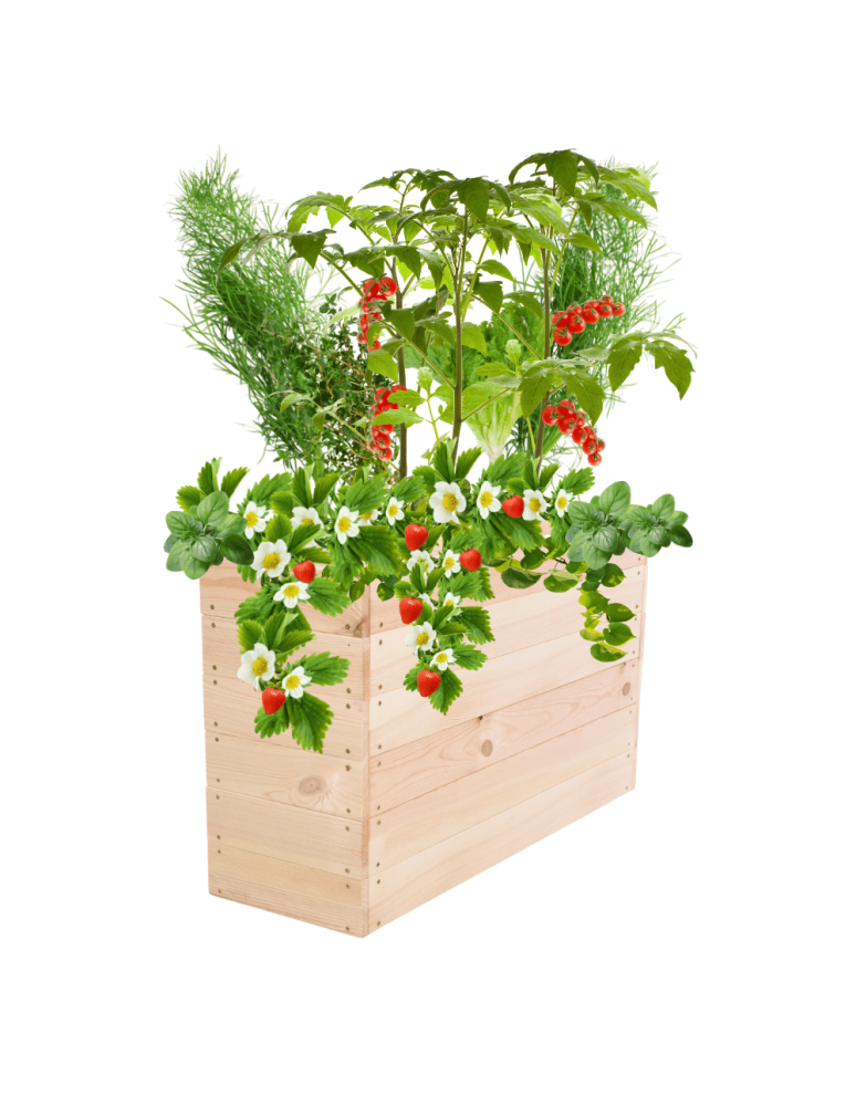 Uprawowe skrzynie ogrodowe- Warzywniaki- skrzynia do uprawy - Skrzynia na warzywa skrzynie na warzywniak inspekt donica grządka 54x103x30 - produkt b2b.wamar.biz 2