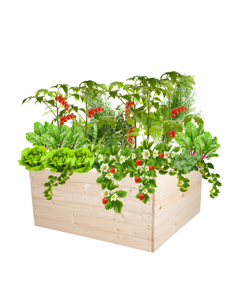 Uprawowe skrzynie ogrodowe- Warzywniaki- skrzynia do uprawy - Skrzynia na warzywa skrzynie na warzywniak inspekt donica grządka 54x103x100 - produkt b2b.wamar.biz 2