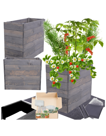 Skrzynia na warzywa skrzynie na warzywniak inspekt donica grządka 54x63x30