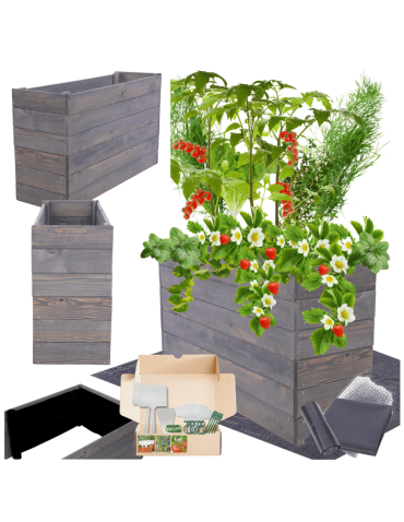 Skrzynia na warzywa skrzynie na warzywniak inspekt donica grządka 54x103x30