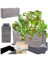 Skrzynia na warzywa skrzynie na warzywniak inspekt donica grządka 54x120x30