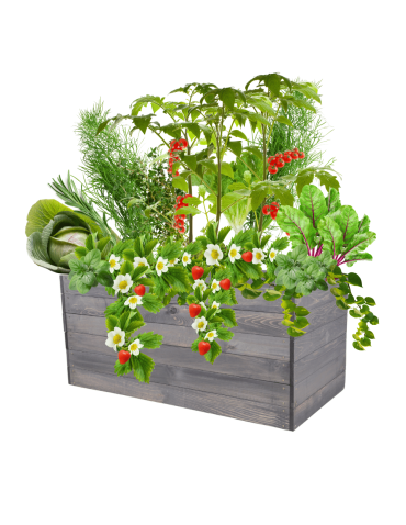 Skrzynia na warzywa skrzynie na warzywniak inspekt donica grządka 54x120x80 - produkt 2