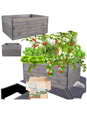 Skrzynia na warzywa skrzynie na warzywniak inspekt donica grządka 54x120x90