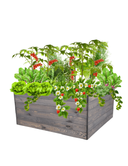 Skrzynia na warzywa skrzynie na warzywniak inspekt donica grządka 54x120x117 - product 2