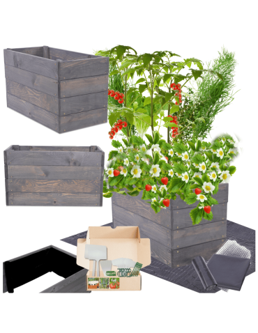 Skrzynia na warzywa skrzynie na warzywniak inspekt donica grządka 36x63x30