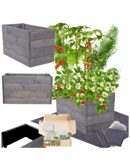 Skrzynia na warzywa skrzynie na warzywniak inspekt donica grządka 36x63x30