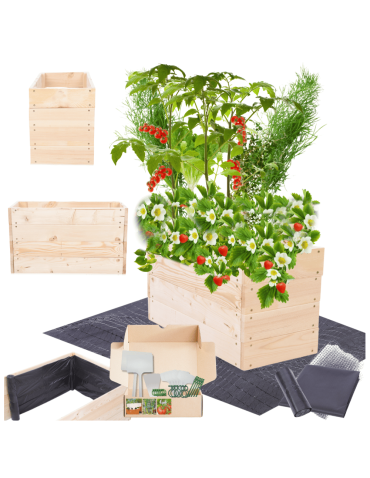 Skrzynia na warzywa skrzynie na warzywniak inspekt donica grządka 36x63x30