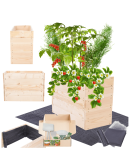 Skrzynia na warzywa skrzynie na warzywnik inspekt donica grządka 45x63x30