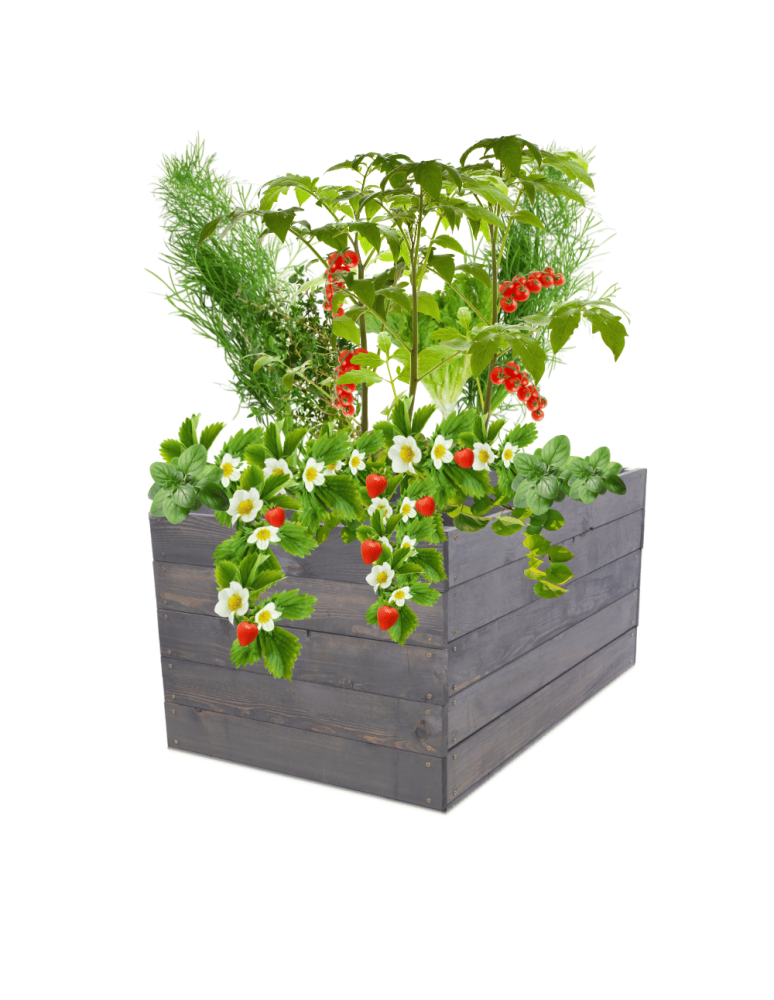 Uprawowe skrzynie ogrodowe- Warzywniaki- skrzynia do uprawy - Skrzynia na warzywa skrzynie na warzywnik inspekt donica grządka 45x63x60 - product b2b.wamar.biz 2