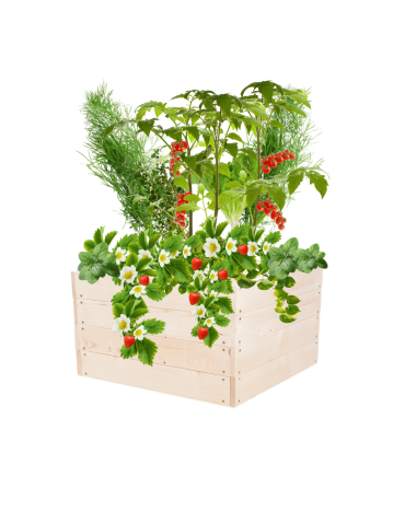 Skrzynia na warzywa skrzynie na warzywniak inspekt donica grządka 36x63x60 - product 2