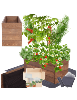 Skrzynia na warzywa skrzynie na warzywniak inspekt donica grządka 36x83x30