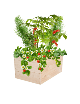 Skrzynia na warzywa skrzynie na warzywnik inspekt donica grządka 45x83x80 - product 2