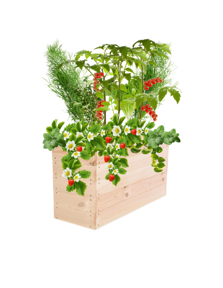 Uprawowe skrzynie ogrodowe- Warzywniaki- skrzynia do uprawy - Skrzynia na warzywa skrzynie na warzywnik inspekt donica grządka 45x93x30 - product b2b.wamar.biz 2