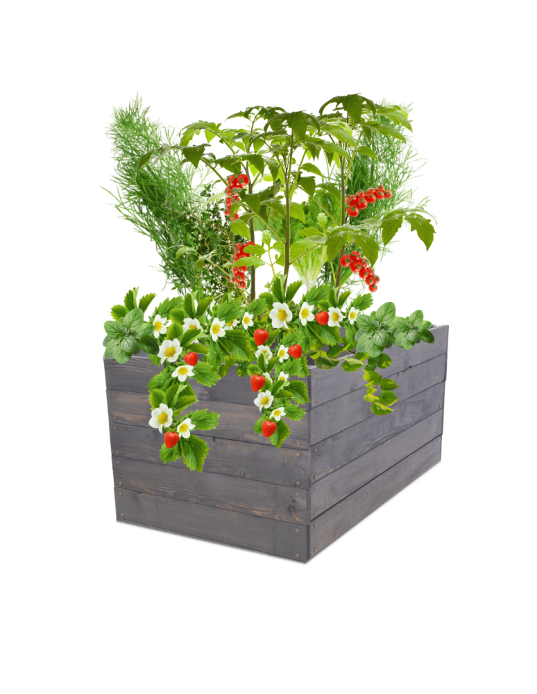 Uprawowe skrzynie ogrodowe- Warzywniaki- skrzynia do uprawy - Skrzynia na warzywa skrzynie na warzywnik inspekt donica grządka 45x93x90 - produkt b2b.wamar.biz 2