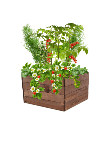 Skrzynia na warzywa skrzynie na warzywniak inspekt donica grządka 36x93x90 - product 2