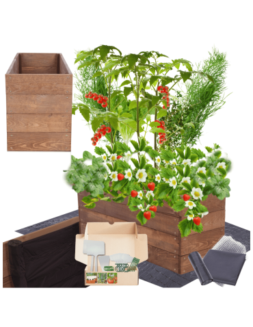 Skrzynia na warzywa skrzynie na warzywniak inspekt donica grządka 36x103x30