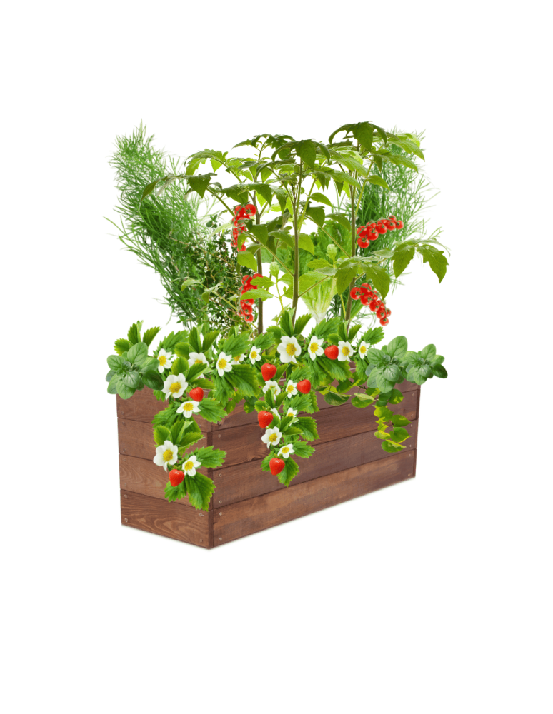 Uprawowe skrzynie ogrodowe- Warzywniaki- skrzynia do uprawy - Skrzynia na warzywa skrzynie na warzywniak inspekt donica grządka 36x103x30 - product b2b.wamar.biz 2