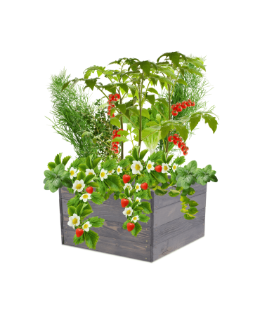 Skrzynia na warzywa skrzynie na warzywniak inspekt donica grządka 36x103x60 - produkt 2