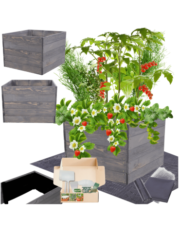 Skrzynia na warzywa skrzynie na warzywnik inspekt donica grządka 45x103x80