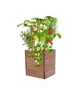 Skrzynia na warzywa skrzynie na warzywniak inspekt donica grządka 36x33x30 - product 2