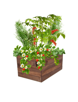 Skrzynia na warzywa skrzynie na warzywnik inspekt donica grządka 45x103x90 - product 2