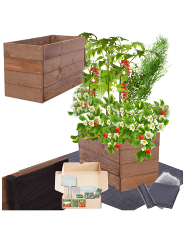 Skrzynia na warzywa skrzynie na warzywniak inspekt donica grządka 36x63x30