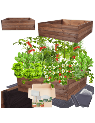 Skrzynia na warzywa skrzynie na warzywniak inspekt donica grządka 36x103x100