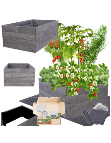 Skrzynia na warzywa skrzynie na warzywniak inspekt donica grządka 36x63x60