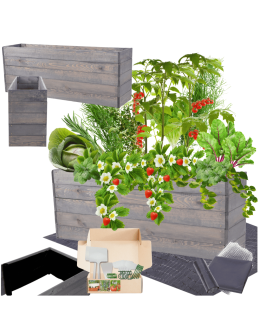 Skrzynia na warzywa skrzynie na warzywnik inspekt donica grządka 45x120x30