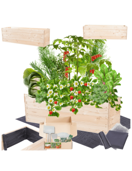 Skrzynia na warzywa skrzynie na warzywniak inspekt donica grządka 36x120x30