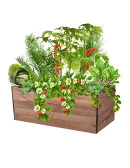 Skrzynia na warzywa skrzynie na warzywnik inspekt donica grządka 45x120x60 - product 2