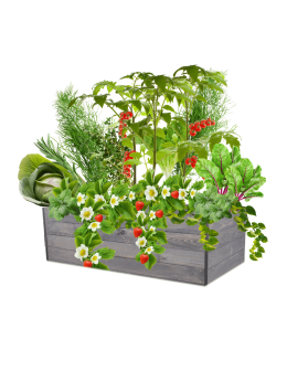 Skrzynia na warzywa skrzynie na warzywniak inspekt donica grządka 36x120x60 - product 2