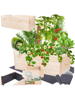 Skrzynia na warzywa skrzynie na warzywnik inspekt donica grządka 45x120x60